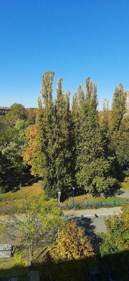 Apartment Student City, Wifi 300Mbs Belgrad Exterior foto